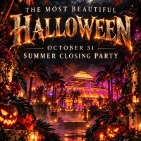 The Most Beautiful Halloween